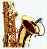 DPA Dv4099s Sax Clarinetto Basso - La Pietra Music Planet - 2
