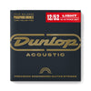 DAP1252J Acoustic Phosphor Bronze