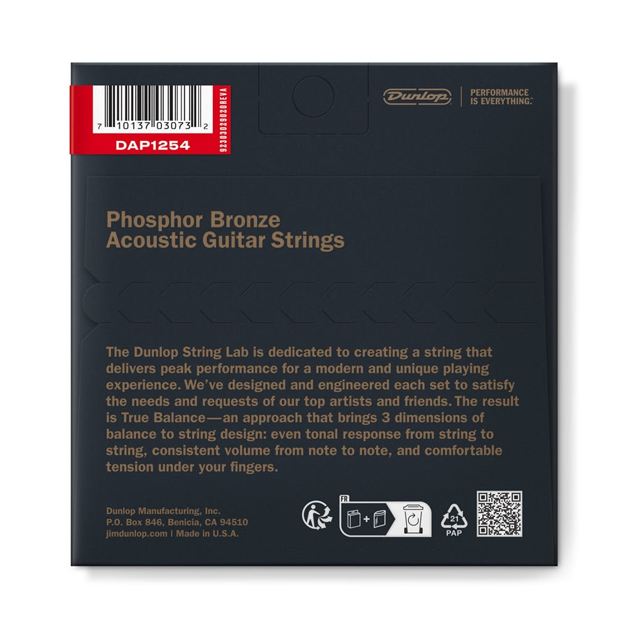 DAP1254 Acoustic Phosphor Bronze
