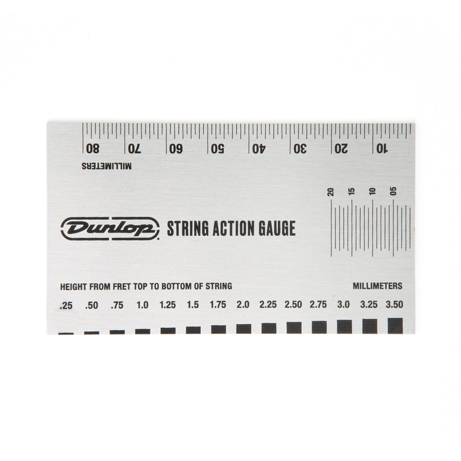 DGT04 Action Gauge System 65