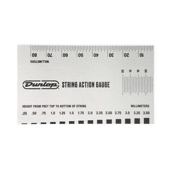 DGT04 Action Gauge System 65