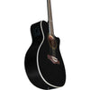 NXT A100ce See Through Black