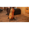 GHS/001 Guitar & French Horn Stand