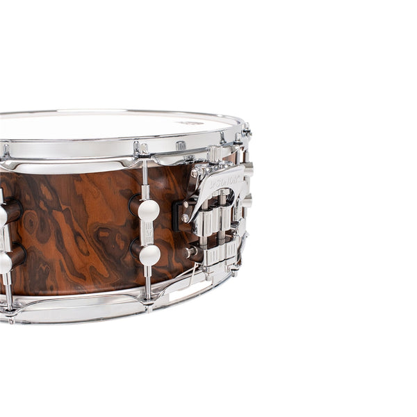 Momentum Rullante 14x5.75 in Faggio - California Burl