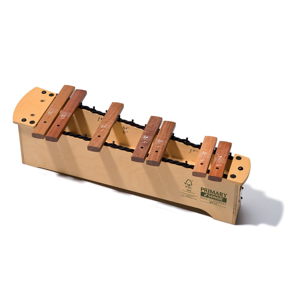 SXP 2.1 Est.Crom. Xilofono Primary SXP 1.1