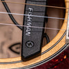 Rare Earth Soundhole Humbucking Pickup (PRO-REP-102)