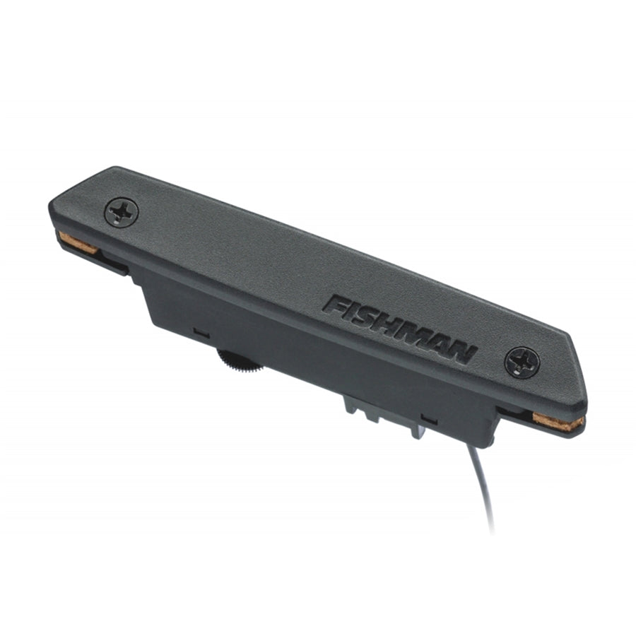 Rare Earth Soundhole Humbucking Pickup (PRO-REP-102)