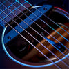 Rare Earth Mic Blend Active Soundhole Pickup (PRO-REP-103)