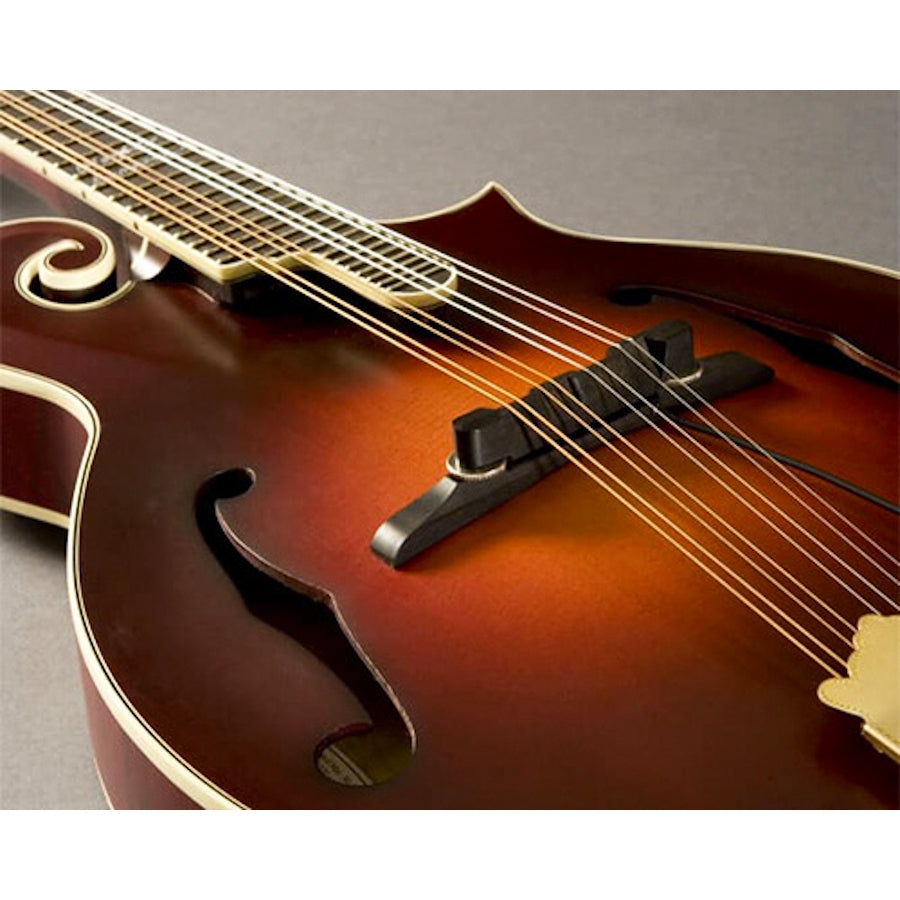 Nashville Archtop M-300 Mandolin Pickup (PRO-M30-0MA)