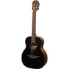 BlueWave TNBW1TE Chitarra Acustica Smart Nylon Travel
