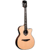 HyVibe 50 HV50-N-ACE Chitarra Acustica Smart Auditorium Cutaway Nylon