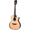 HyVibe V2 HV50-N-ACE Chitarra Acustica Smart Auditorium Cutaway Nylon