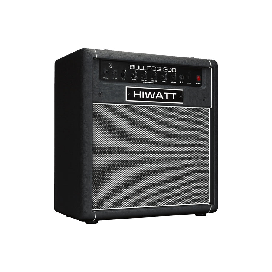 Bulldog 300 Combo per basso 1x15 300 W