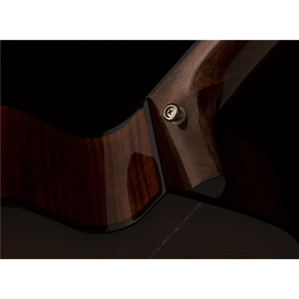 SE A50E Black Gold Burst