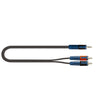 RKSA/150-2 Minijack Stereo/2 RCA Maschio