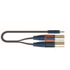 RKSA/192-2 Minijack Stereo/2 XLR Maschio