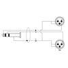 RKSA/192-5 Minijack Stereo/2 XLR Maschio