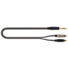 JUST/JS2RCA-1