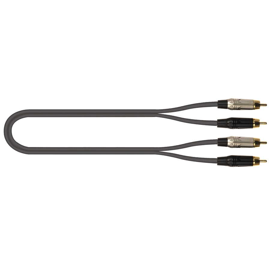 JUST/4RCA-1