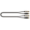 JUST/4RCA-2