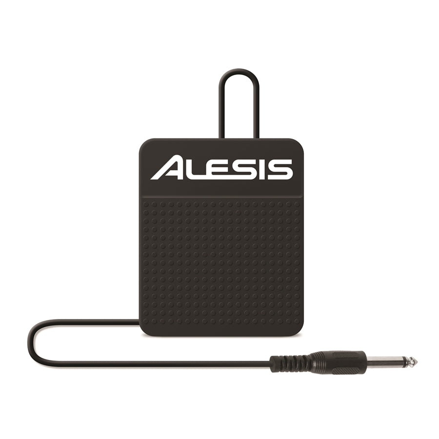 ASP-1 SUSTAIN PEDAL