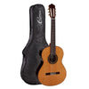BUNDLE CHITARRA CLASSICA CUENCA 45 ZIRICOTE+ BORSA