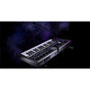 MICROKORG 2 standard