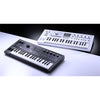 MICROKORG 2 BK