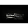 minilogue xd module - Sintetizzatore Analogico