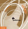 GALLI - muta ch. ac. - LS Phosphor Bronze wound - Extra Light .010-.047