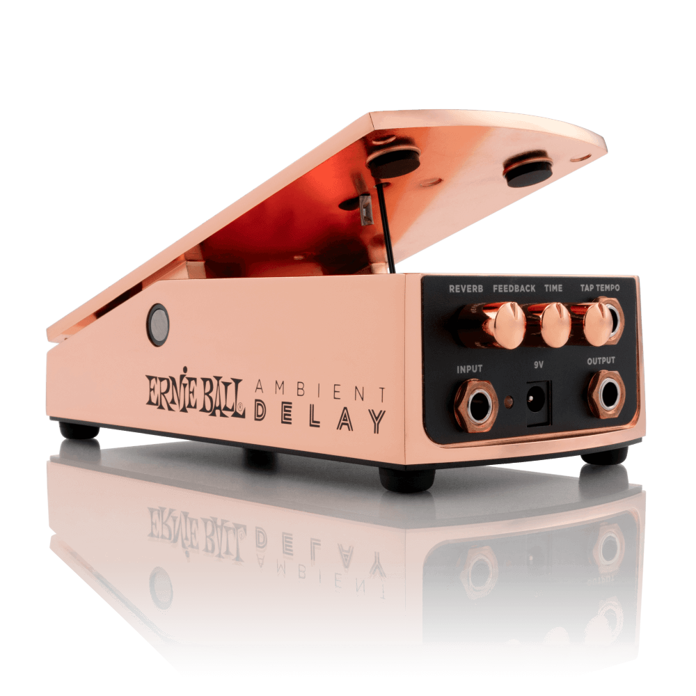 ERNIE BALL 6184 AMBIENT DELAY DELAY A PEDALE