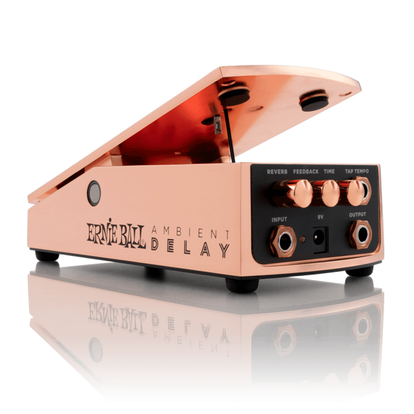 ERNIE BALL 6184 AMBIENT DELAY DELAY A PEDALE