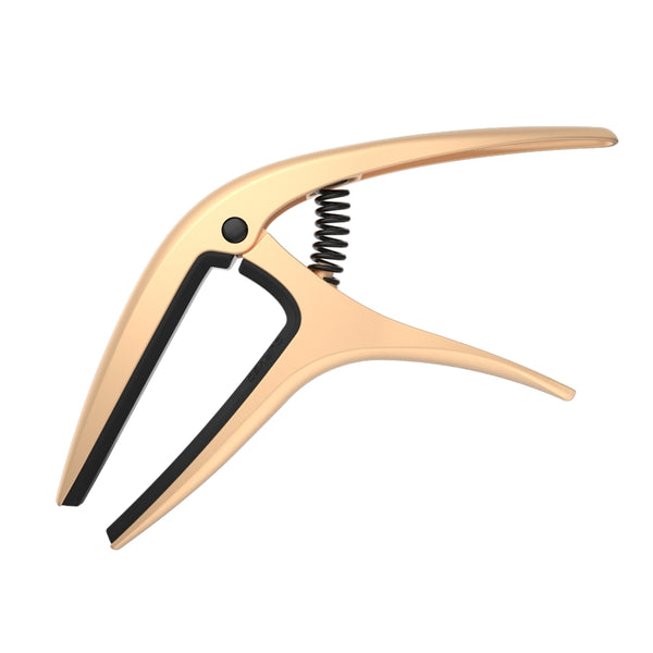 9606 Axis Capo Gold Satin 2021