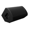 DIFFUSORE ATTIVO PIONEER XPRS-102 10