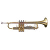 TROMBA SOUNDSATION STPGD-10 GOLD