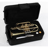 TROMBA SOUNDSATION STPSL-10 SILVER