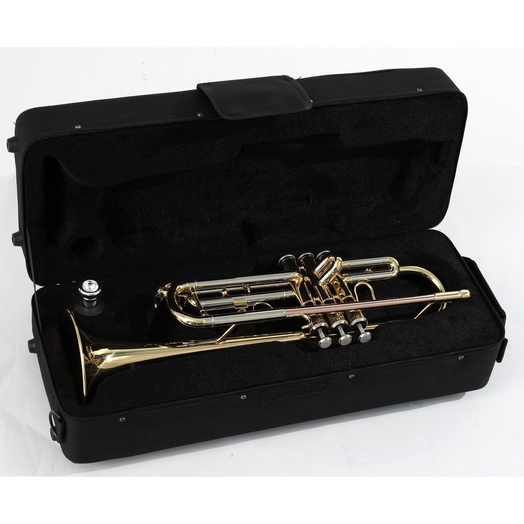 TROMBA SOUNDSATION STPGD-10P POCKET GOLD