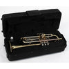 TROMBA SOUNDSATION STPGD-10P POCKET GOLD