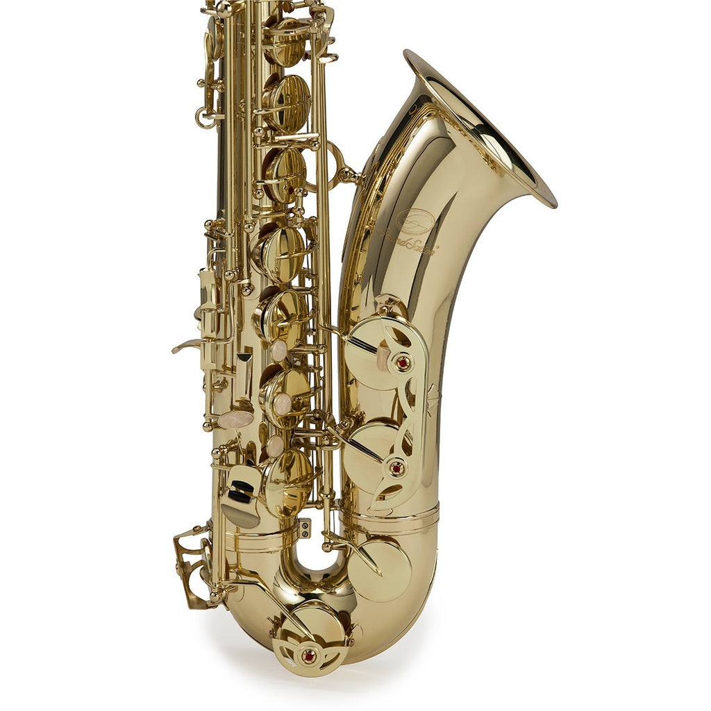 SASSOFONO TENORE SOUNDSATION STNSX-20