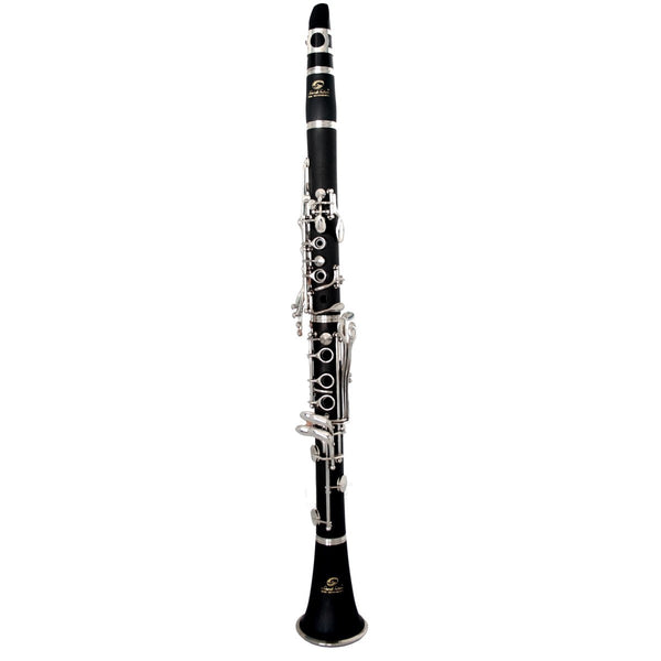 CLARINETTO SOUNDSATION SCL-18 in SIb