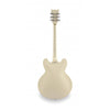SOUNSATION SEMIACUSTICA JAZZ ROOT H VW