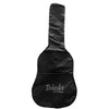 CHITARRA CLASSICA TOLEDO MARISOL 12NT CON BORSA