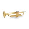 TROMBA SOUNDSATION STPGD-10E GOLD