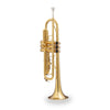 TROMBA SOUNDSATION STPGD-10E GOLD