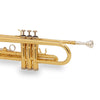 TROMBA SOUNDSATION STPGD-10E GOLD