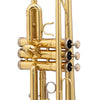 TROMBA SOUNDSATION STPGD-10E GOLD