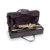 TROMBA SOUNDSATION STPGD-10E GOLD