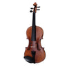 VIOLINO SOUNDSATION  VIRTUOSO PRO  VPVI-34