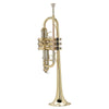 TROMBA SOUNDSATION  IN DO STPGD-10C GOLD
