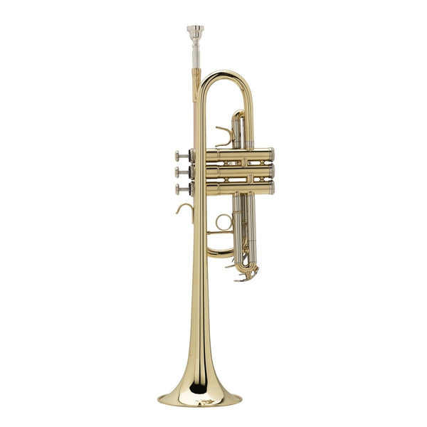 TROMBA SOUNDSATION  IN DO STPGD-10C GOLD